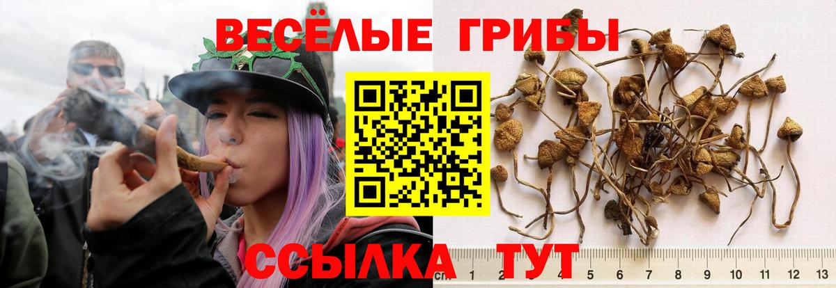 Псилоцибиновые грибы Cubensis Учалы
