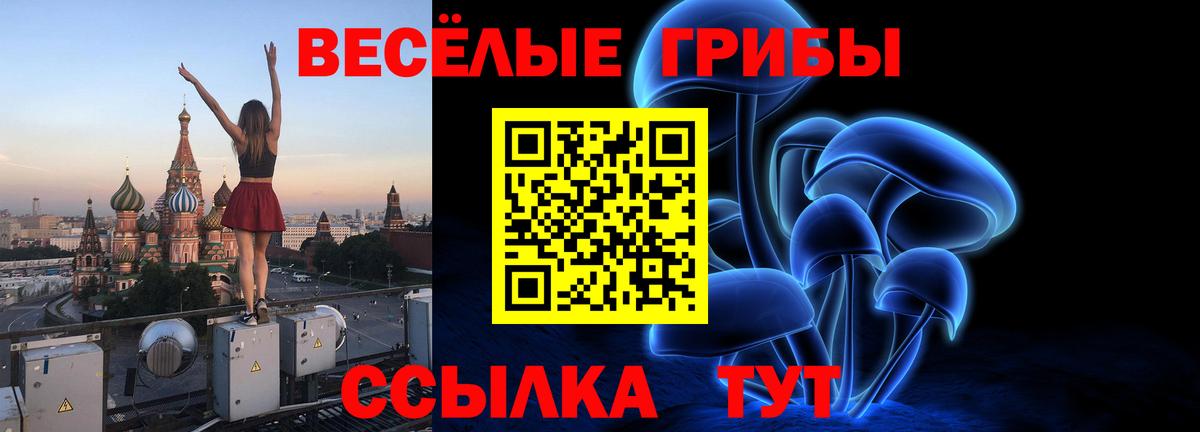 Учалы  продажа наркотиков  Вход с VPN  Галлюциногенные грибы Cubensis 
